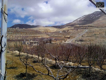 بوادر هدنة مرتقبة في الزبداني
